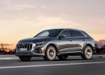 Audi SQ8 TDI 2019 года (WW)